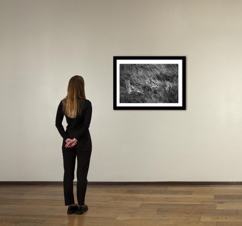 24 x 36 in., edition of 15